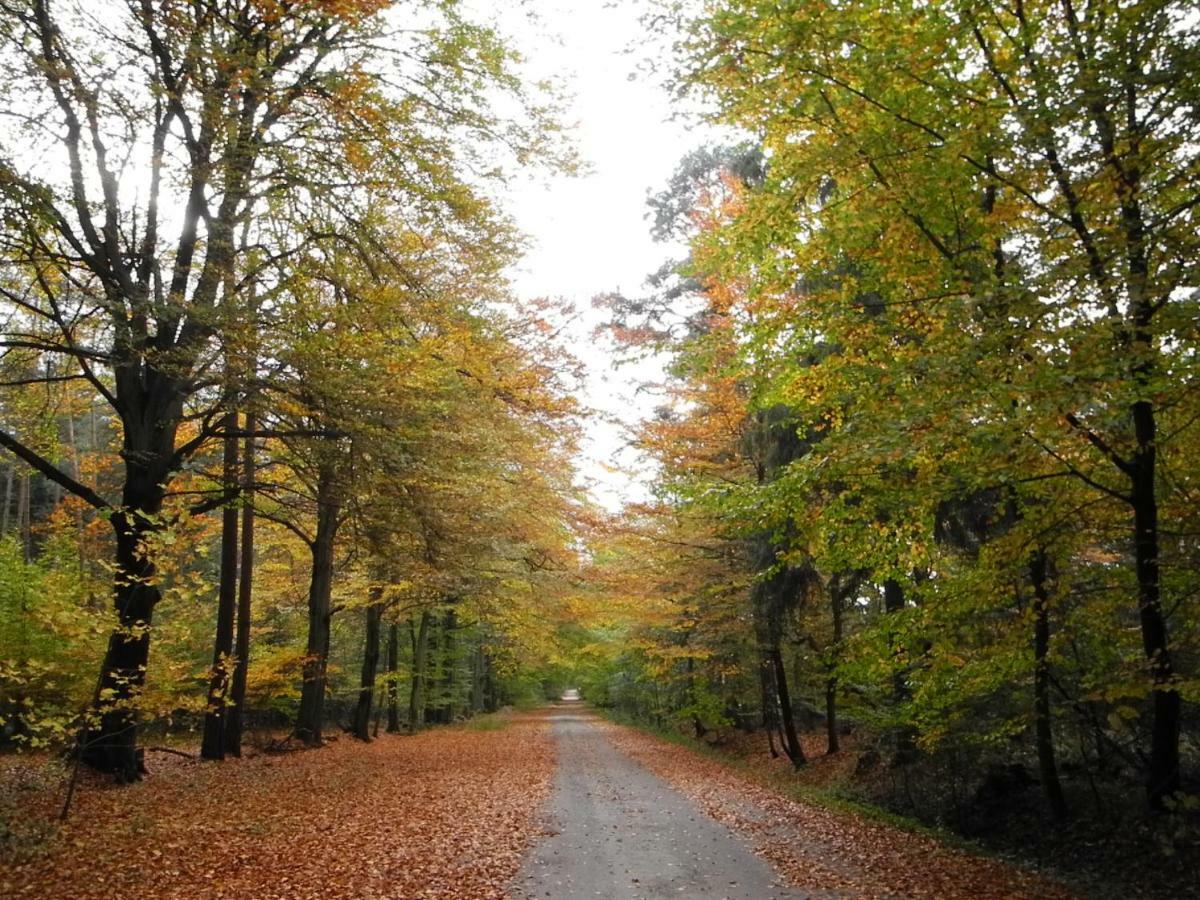 Ferienwohnung Meyenburg Schwanewede Esterno foto