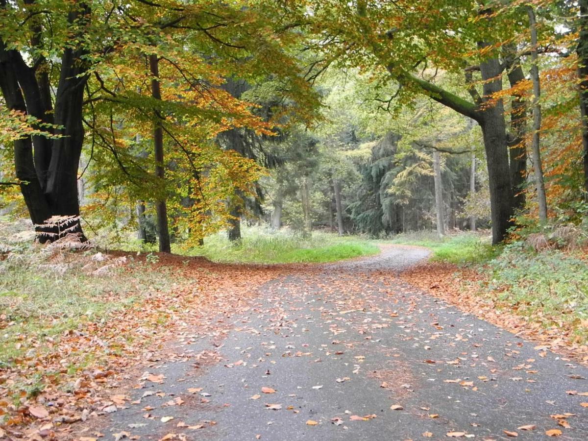 Ferienwohnung Meyenburg Schwanewede Esterno foto