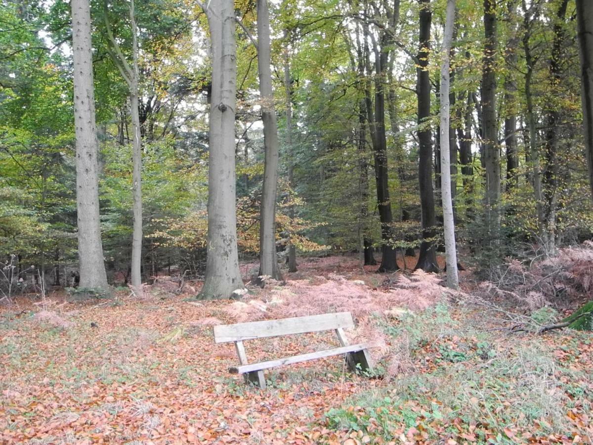 Ferienwohnung Meyenburg Schwanewede Esterno foto
